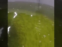 オンライン光学分解された酸素センサーRs485の酸素光学センサー